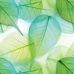 Transparent Leaves Tropical Wallpaper