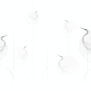 Silent Flight Wall Mural