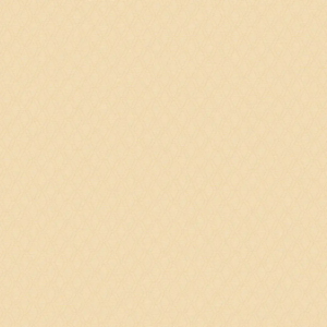 Bon #3  88602-3